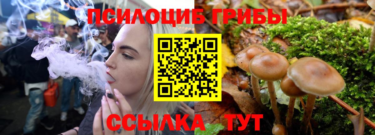 Псилоцибиновые грибы ЛСД  Галлюциногенные грибы мицелий  Реж  Вход с VPN 